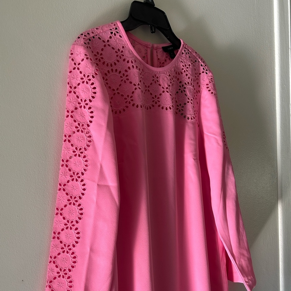 J . Crew Pink Long Sleeve Dress with Lace Detail - Picture 6 of 15